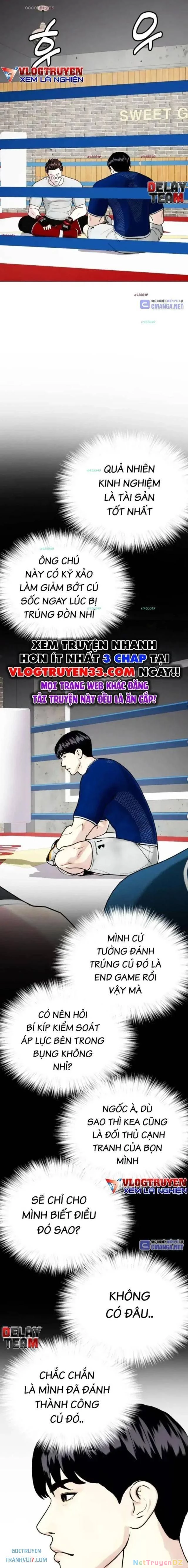 Loser Giỏi Võ Chapter 91 - 17
