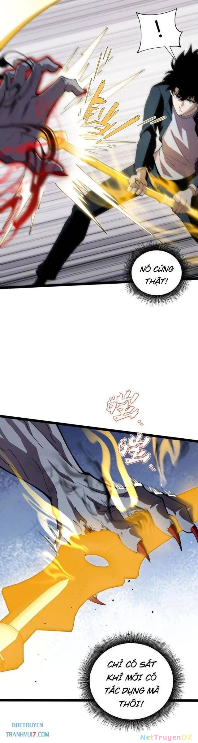 Sức Mạnh Tối Đa? Ta Lại Là Vong Linh Sư! Chapter 74 - 12