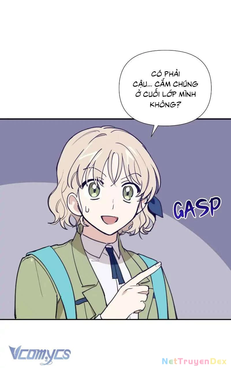 Điều Ước Sao Băng Chapter 8 - 43