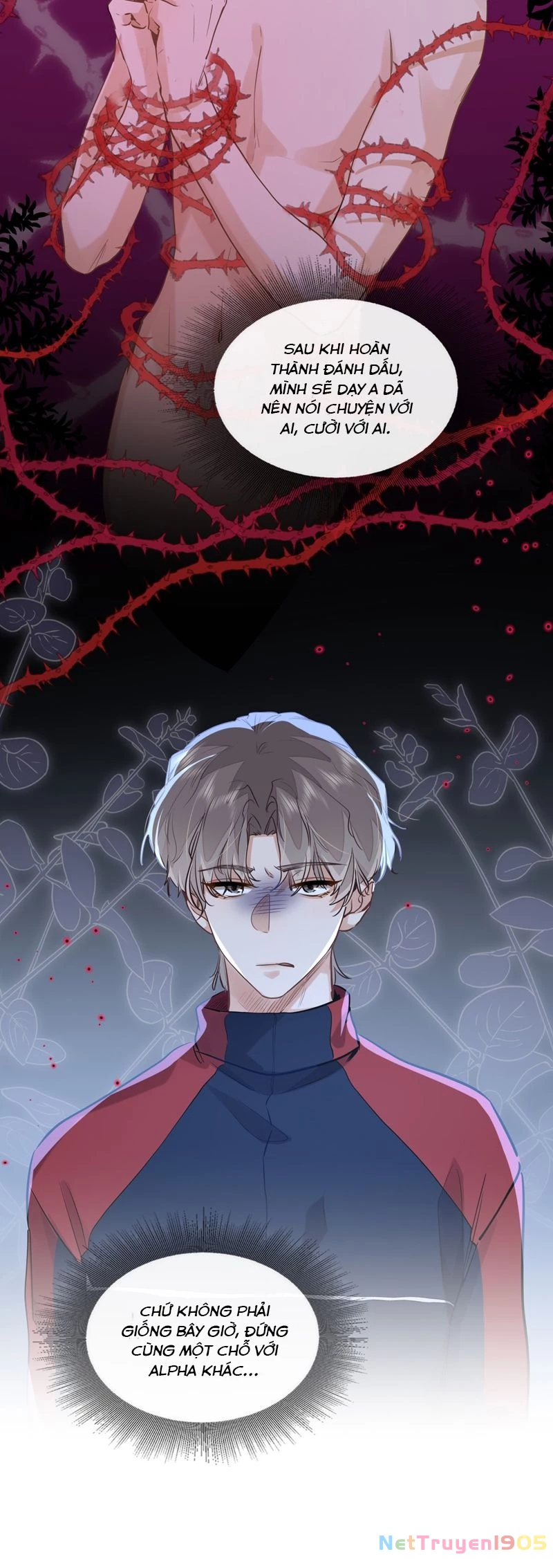 Tôi Thích Pheromone Của Cậu Chapter 48 - 4