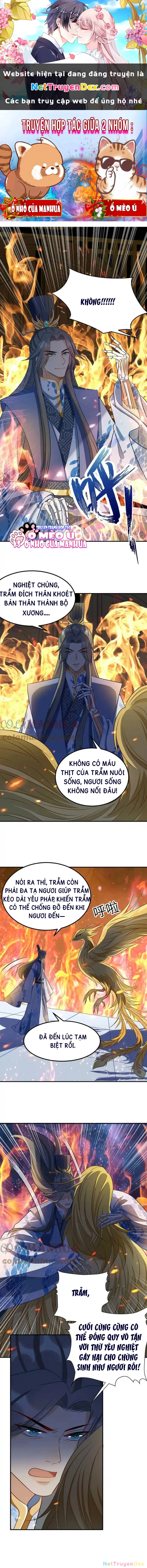 Thiên Tài Manh Bảo , Mẫu Thân Nghịch Thiên Bật Hack Rồi! Chapter  2 - 1