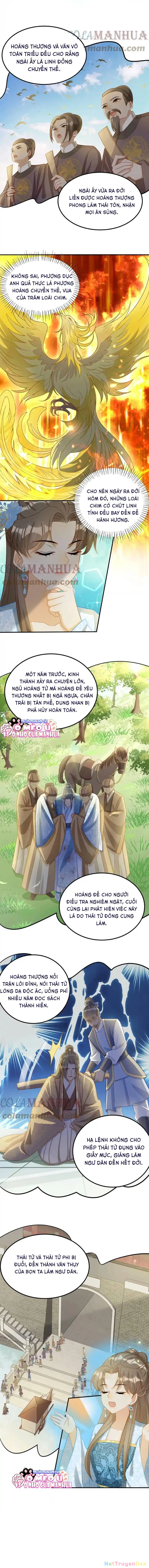 Thiên Tài Manh Bảo , Mẫu Thân Nghịch Thiên Bật Hack Rồi! Chapter  9 - 4