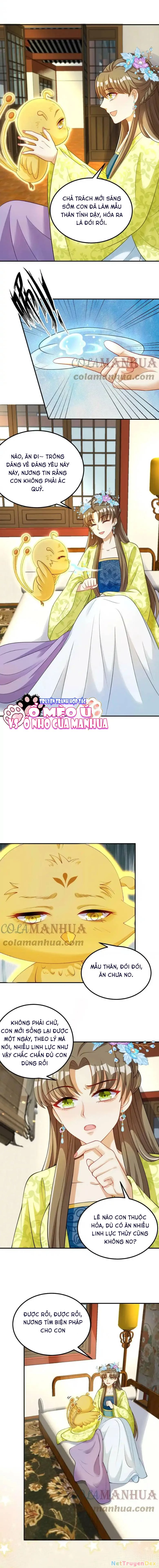 Thiên Tài Manh Bảo , Mẫu Thân Nghịch Thiên Bật Hack Rồi! Chapter  12 - 3