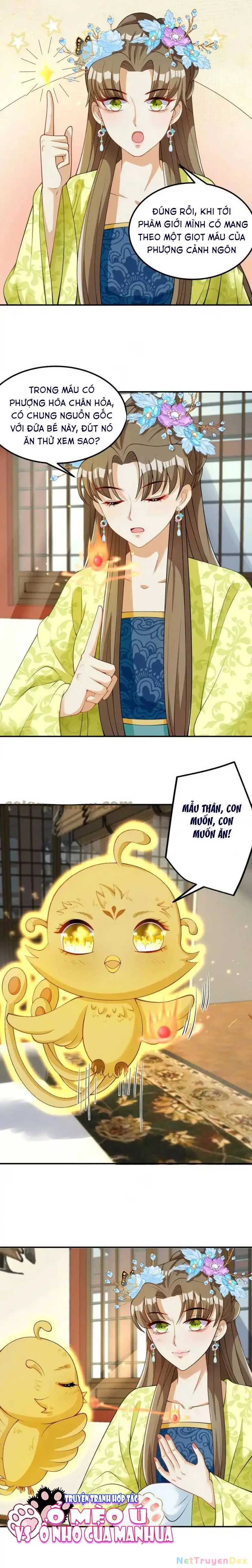 Thiên Tài Manh Bảo , Mẫu Thân Nghịch Thiên Bật Hack Rồi! Chapter  12 - 4