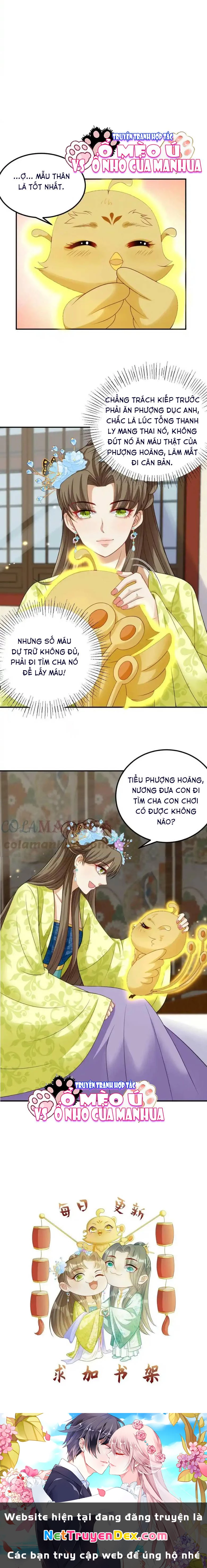 Thiên Tài Manh Bảo , Mẫu Thân Nghịch Thiên Bật Hack Rồi! Chapter  12 - 5