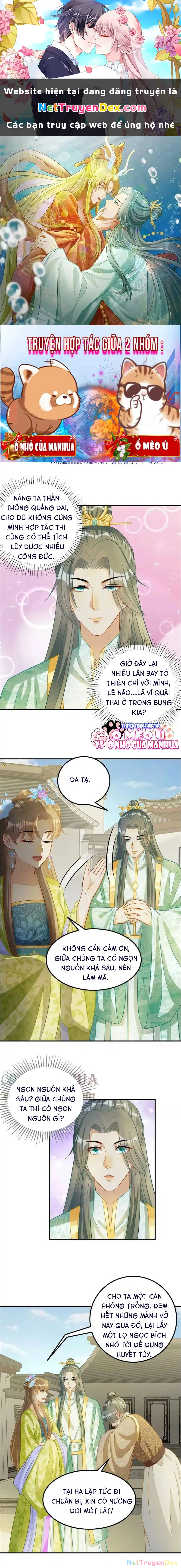 Thiên Tài Manh Bảo , Mẫu Thân Nghịch Thiên Bật Hack Rồi! Chapter  18 - 1