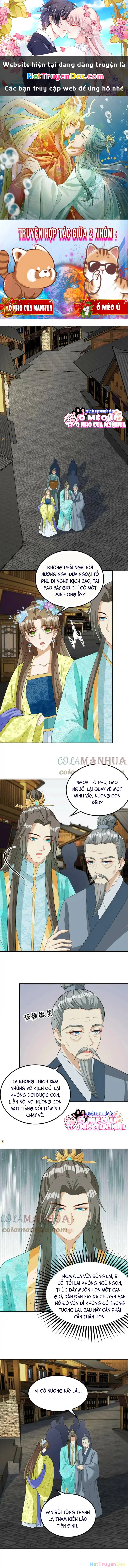 Thiên Tài Manh Bảo , Mẫu Thân Nghịch Thiên Bật Hack Rồi! Chapter  21 - 1