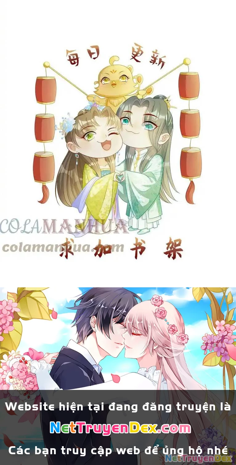 Thiên Tài Manh Bảo , Mẫu Thân Nghịch Thiên Bật Hack Rồi! Chapter  21 - 6