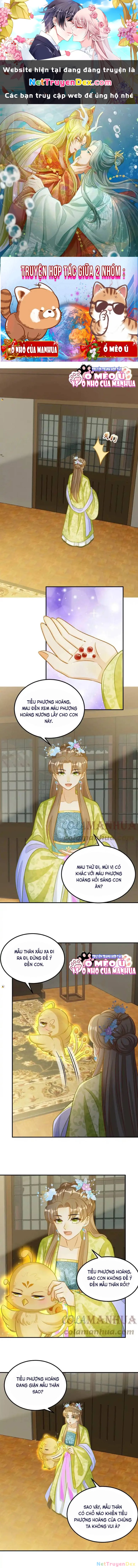 Thiên Tài Manh Bảo , Mẫu Thân Nghịch Thiên Bật Hack Rồi! Chapter  23 - 1