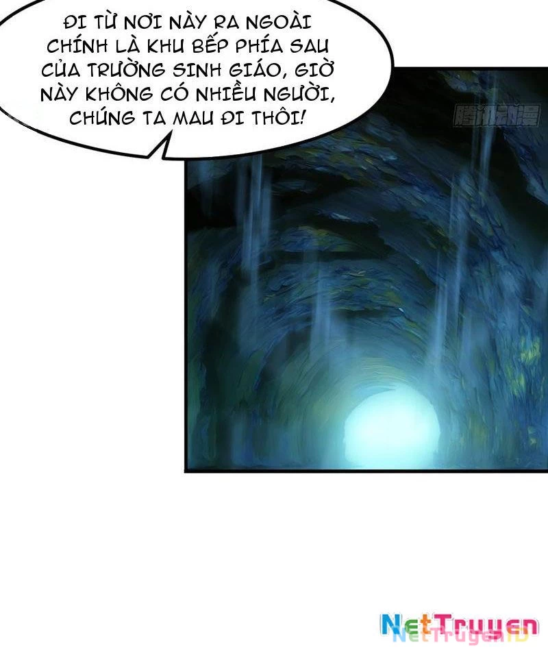 Phu Nhân Nhà Ta Đến Từ Địa Phủ Ngàn Năm Chapter 117 - 11