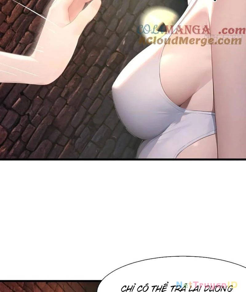 Phu Nhân Nhà Ta Đến Từ Địa Phủ Ngàn Năm Chapter 126 - 49