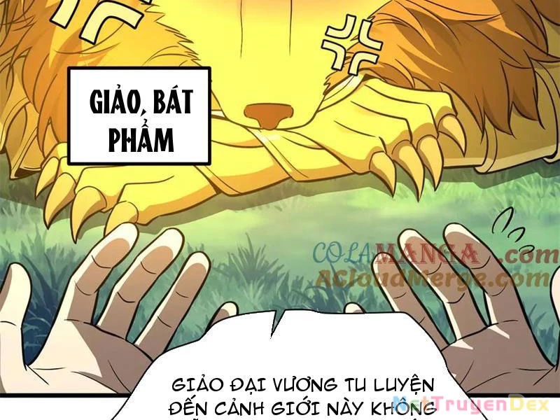 Toàn Cầu Cao Võ Chapter 291 - 51