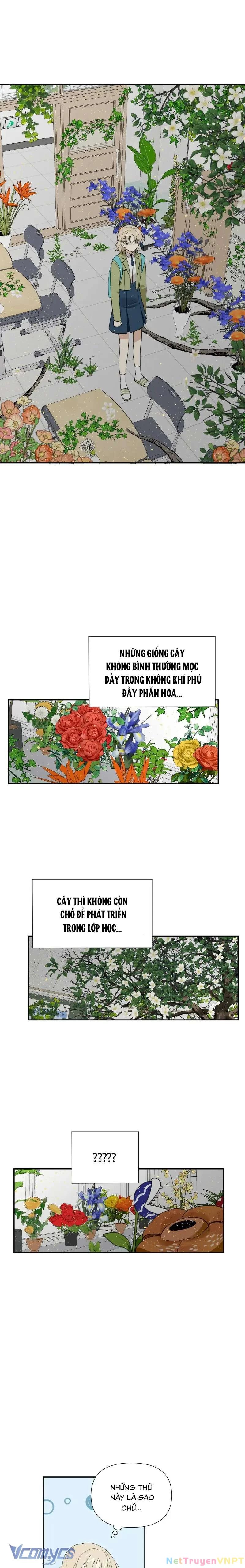 Điều Ước Sao Băng Chapter 11 - 2