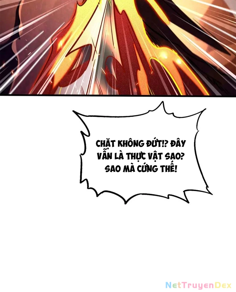 Siêu Cấp Thần Cơ Nhân Chapter 318 - 12