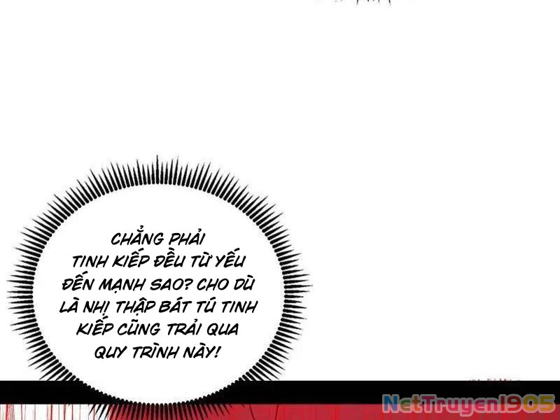Ta Là Tà Đế Chapter 535 - 113