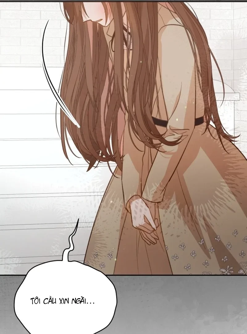 Hãy trở thành chị gái của tôi nào! Chapter 4 - 26