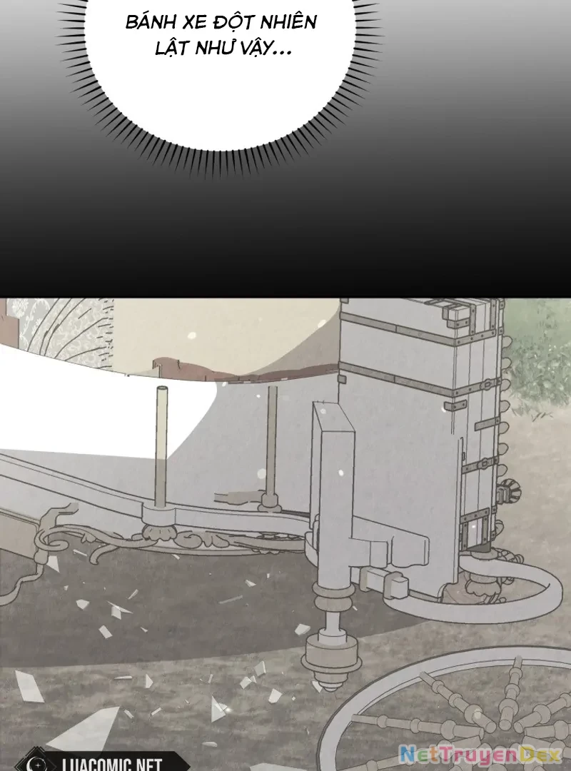 Hãy trở thành chị gái của tôi nào! Chapter 4 - 78