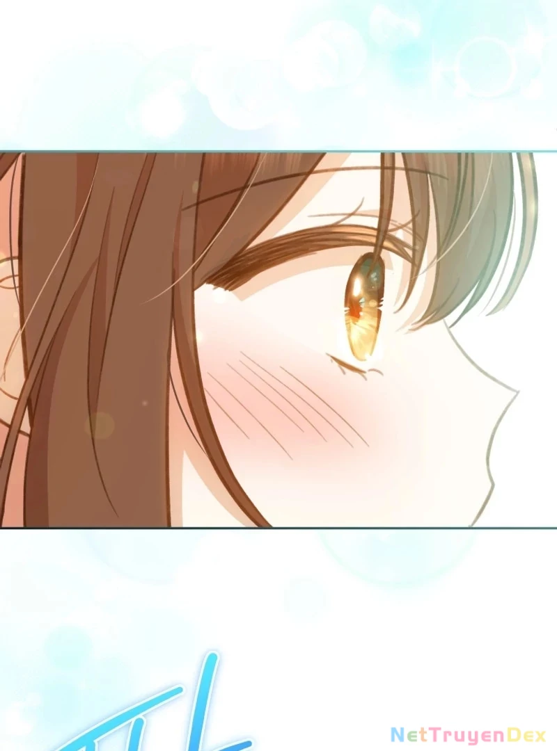 Hãy trở thành chị gái của tôi nào! Chapter 5 - 20