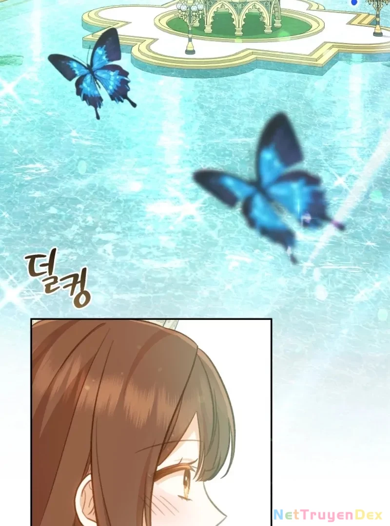 Hãy trở thành chị gái của tôi nào! Chapter 5 - 22