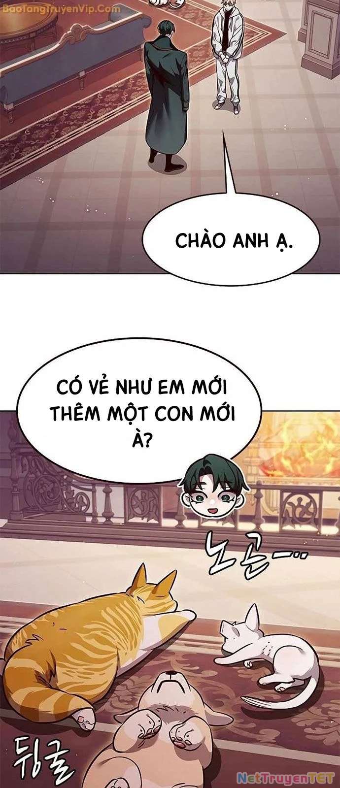 Hoá Thân Thành Mèo Chapter 331 - 43