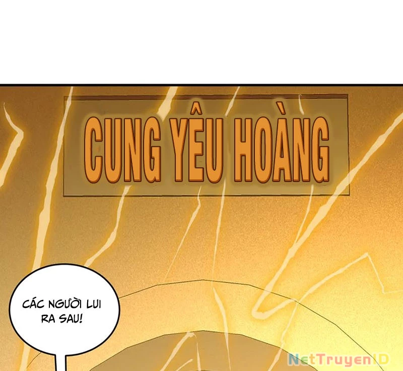 Tuyệt Sắc Đạo Lữ Đều Nói Ngô Hoàng Thể Chất Vô Địch Chapter 322 - 50