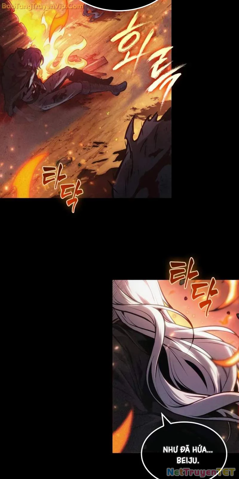 Mạo Hiểm Giả Cuối Cùng Chapter 51 - Trang 2