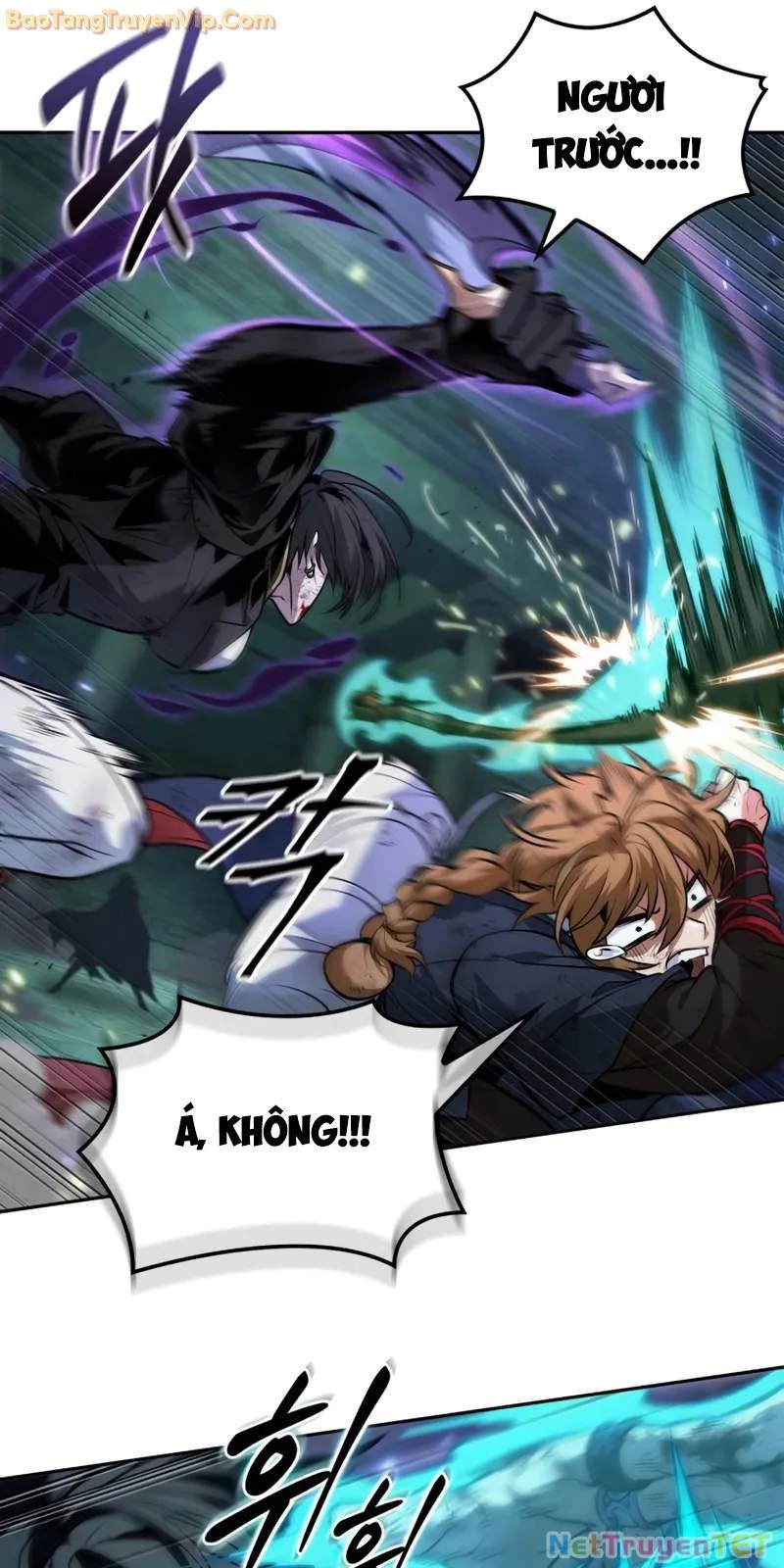 Mạo Hiểm Giả Cuối Cùng Chapter 51 - Trang 2