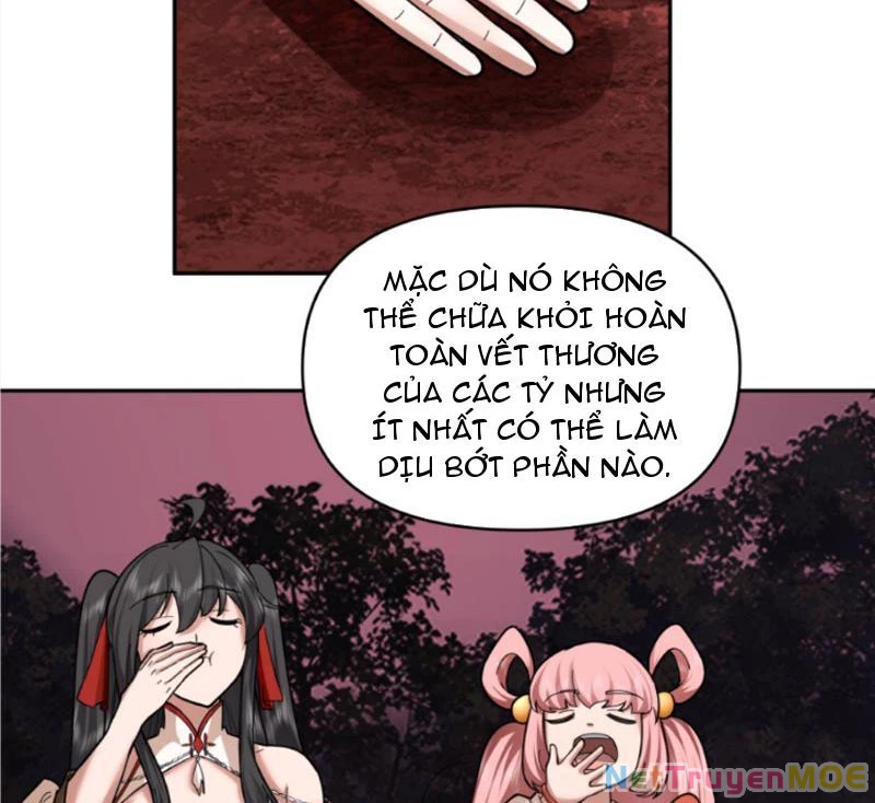 Hỗn Độn Thiên Đế Quyết Chapter 39 - 4