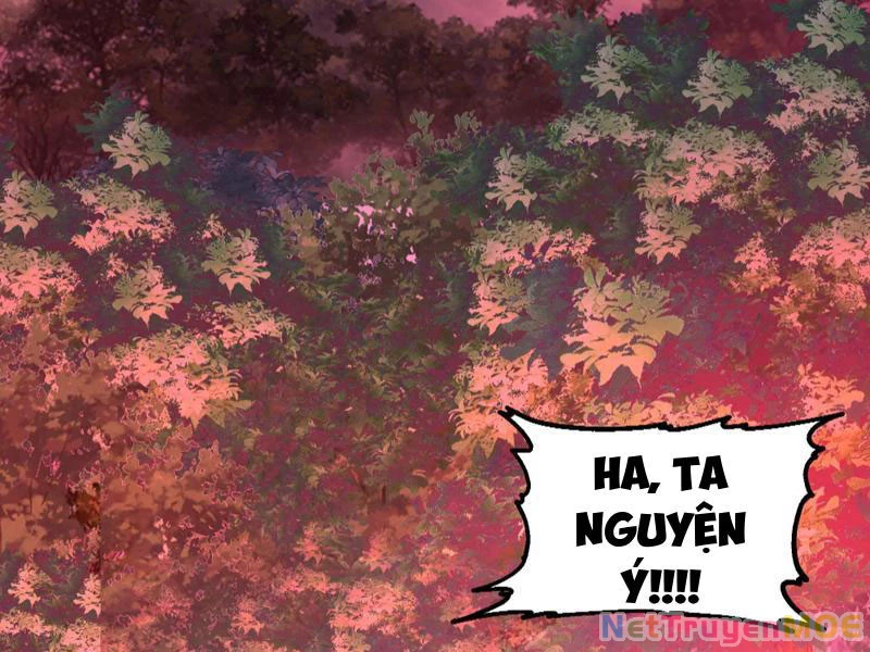 Hỗn Độn Thiên Đế Quyết Chapter 48 - 11