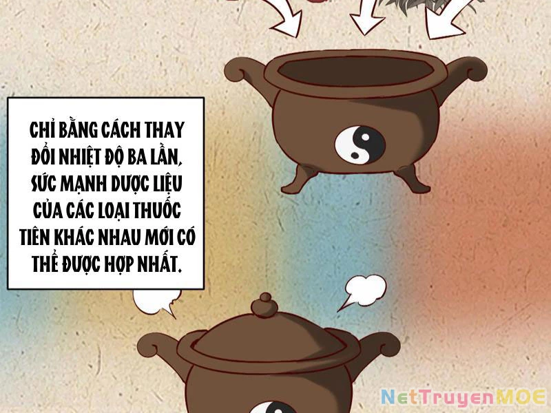 Hỗn Độn Thiên Đế Quyết Chapter 50 - 4