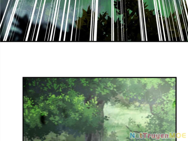 Hỗn Độn Thiên Đế Quyết Chapter 72 - 36