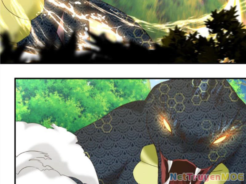 Hỗn Độn Thiên Đế Quyết Chapter 82 - 12