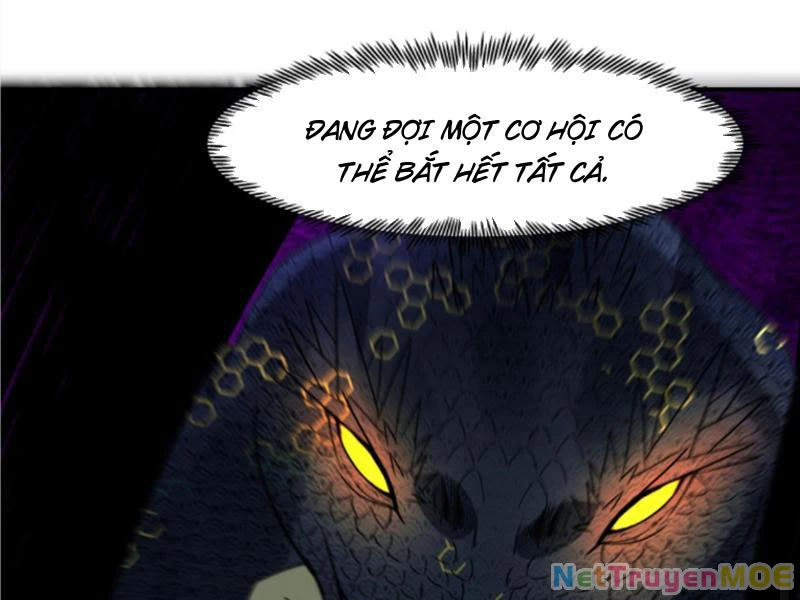 Hỗn Độn Thiên Đế Quyết Chapter 82 - 55