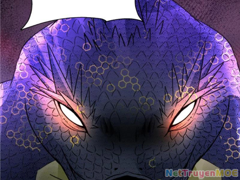 Hỗn Độn Thiên Đế Quyết Chapter 82 - 72