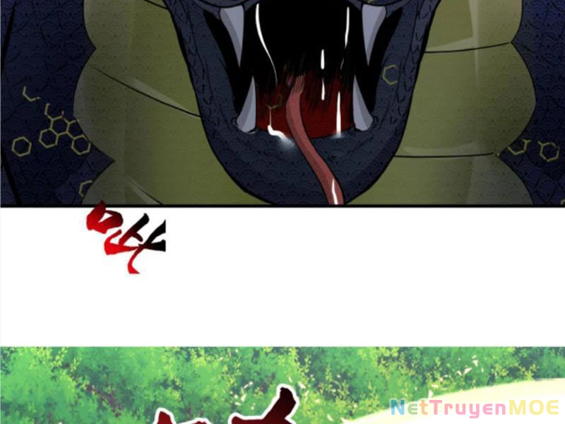 Hỗn Độn Thiên Đế Quyết Chapter 82 - 73