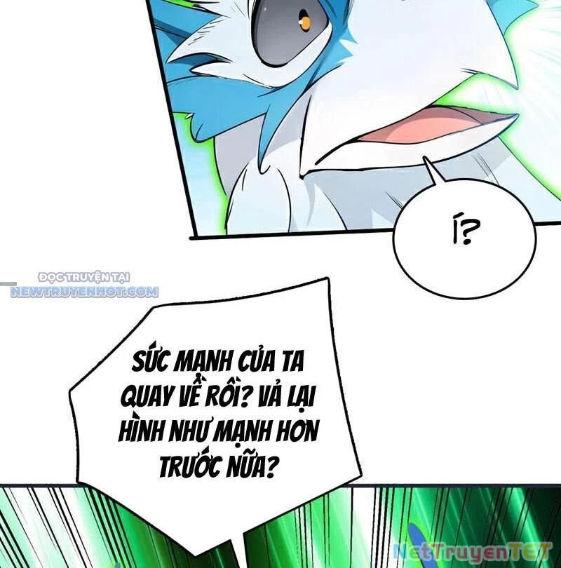 Ẩn Cư Mười Vạn Năm Chapter 267 - 11