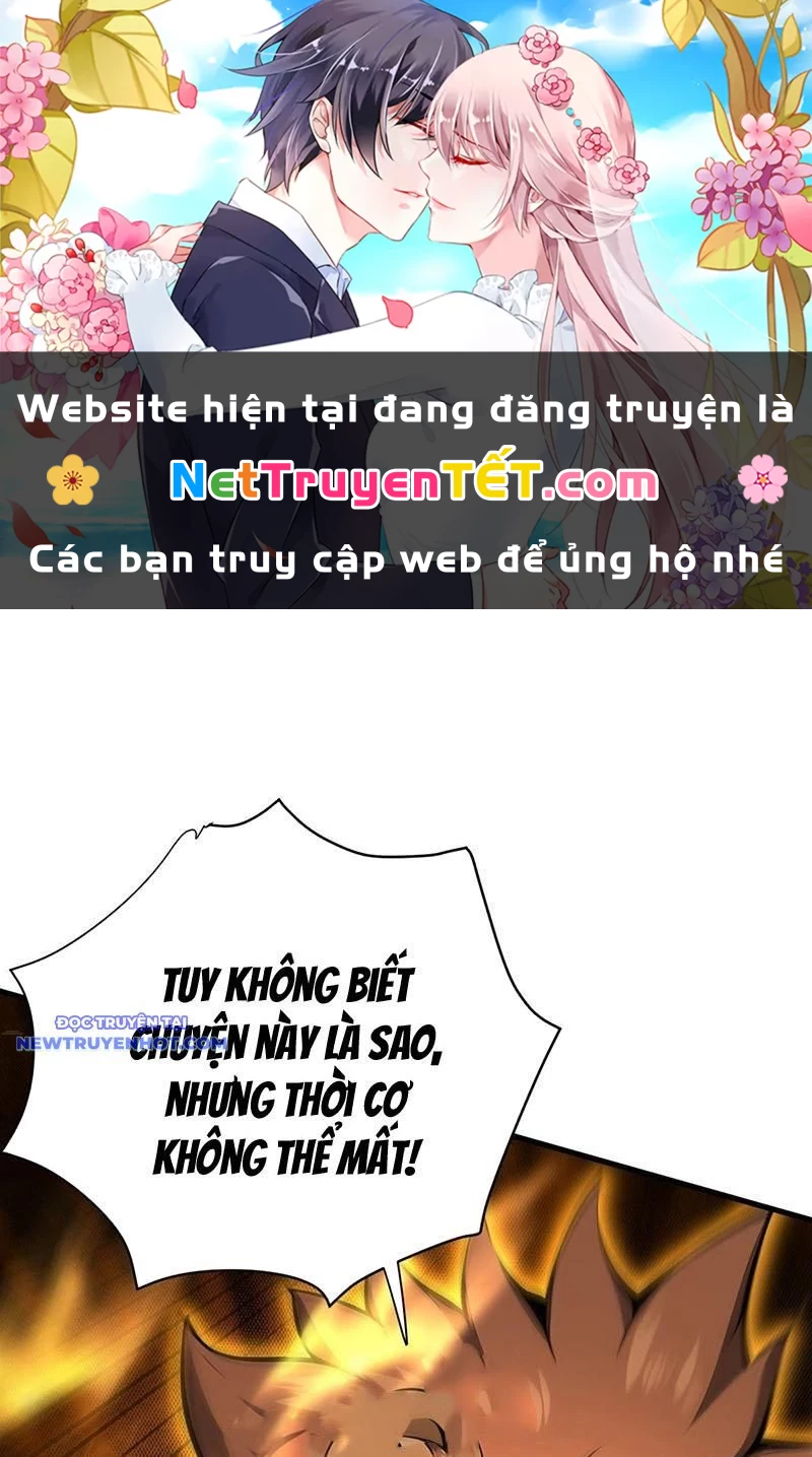 Ẩn Cư Mười Vạn Năm Chapter 279 - 1