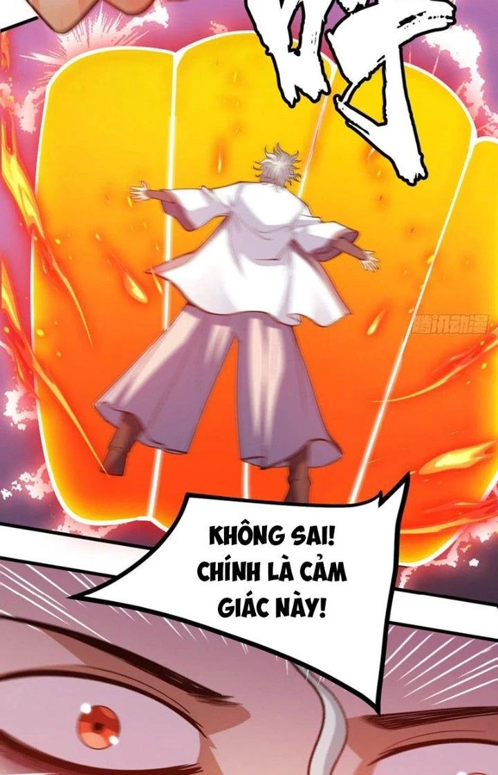 Ta Chỉ Muốn Bị Các Vị Đánh Chết Chapter 85 - 14