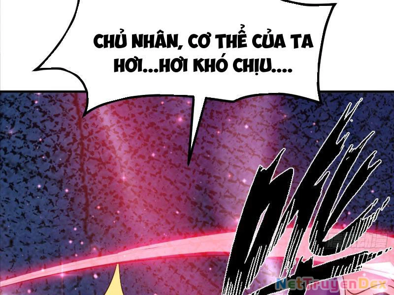 Hệ Thống Hèn Mọn Quỳ Xuống Cầu Xin Ta Vô Địch Chapter 26 - 93