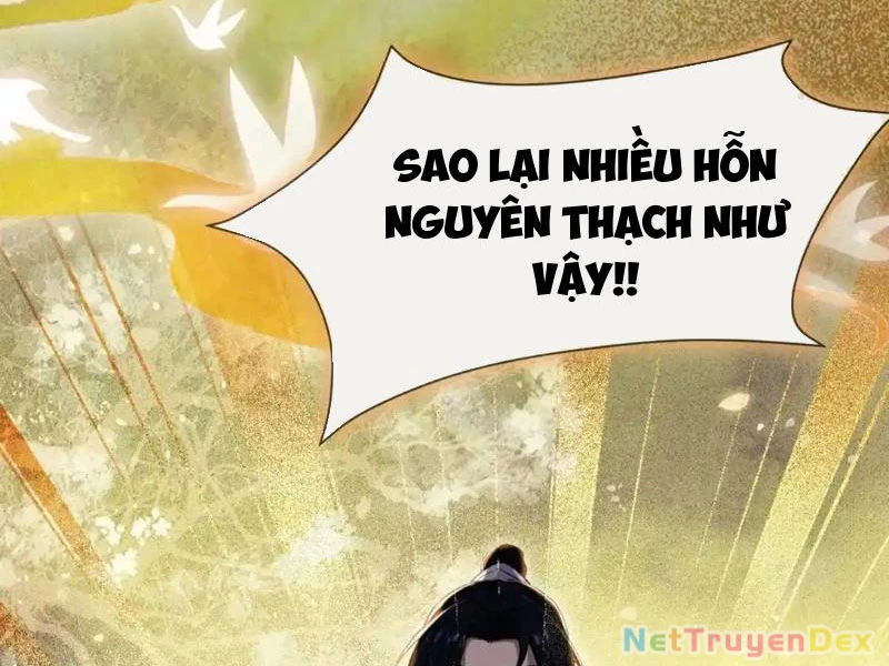 Hoá Ra Ta Đã Vô Địch Từ Lâu Chapter 225 - 11