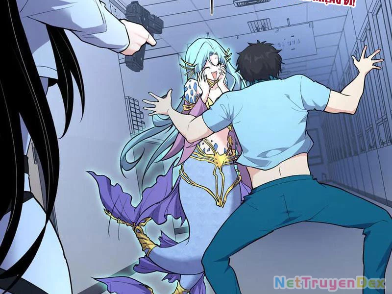 Linh Khí Khôi Phục: Từ Cá Chép Tiến Hóa Thành Thần Long Chapter 38 - 44
