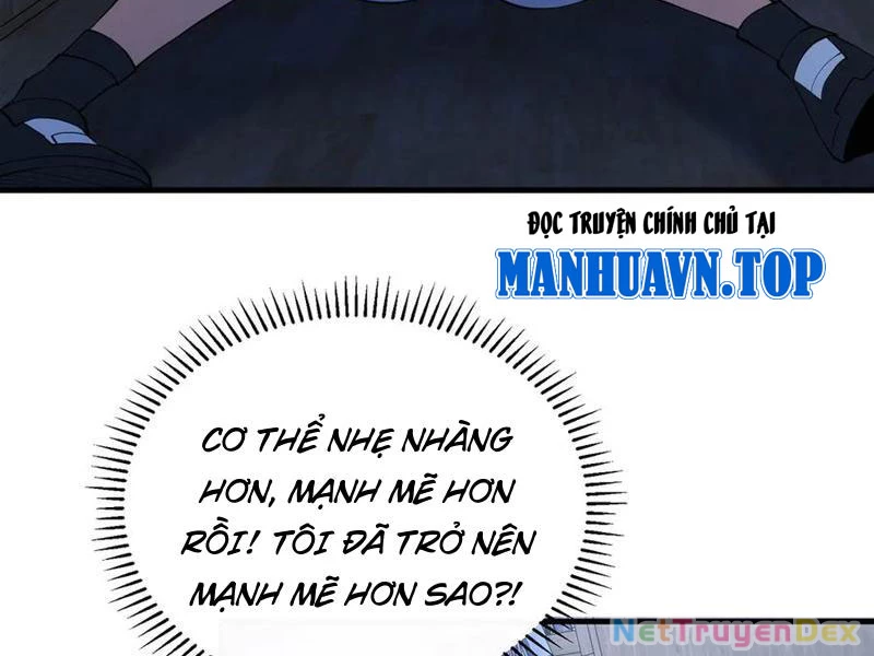 Linh Khí Khôi Phục: Từ Cá Chép Tiến Hóa Thành Thần Long Chapter 38 - 135