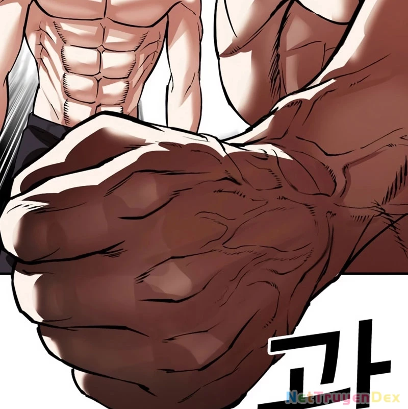 Hoán Đổi Diệu Kỳ Chapter 536 - 268
