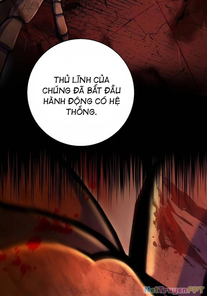 Cháu Trai Thánh Đế Là Tử Linh Sư Chapter 70 - Trang 2