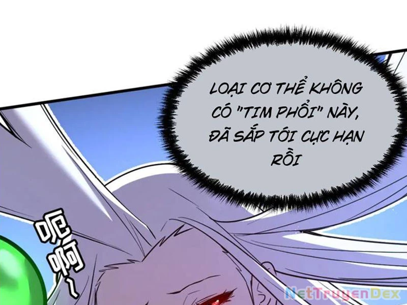 Hệ Thống Của Ta Thật Đứng Đắn Chapter 32 - Trang 2