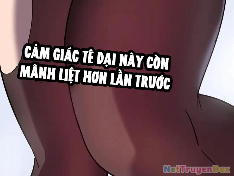 Hệ Thống Của Ta Thật Đứng Đắn Chapter 33 - Trang 2
