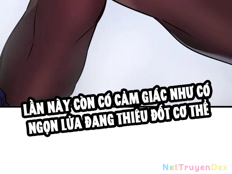 Hệ Thống Của Ta Thật Đứng Đắn Chapter 33 - Trang 2