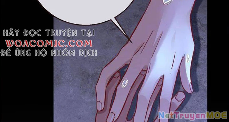 Vạn Tra Triêu Hoàng Chapter 730 - 135