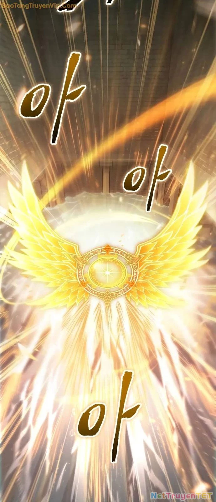 Mạo Hiểm Giả Cuối Cùng Chapter 52 - Trang 2
