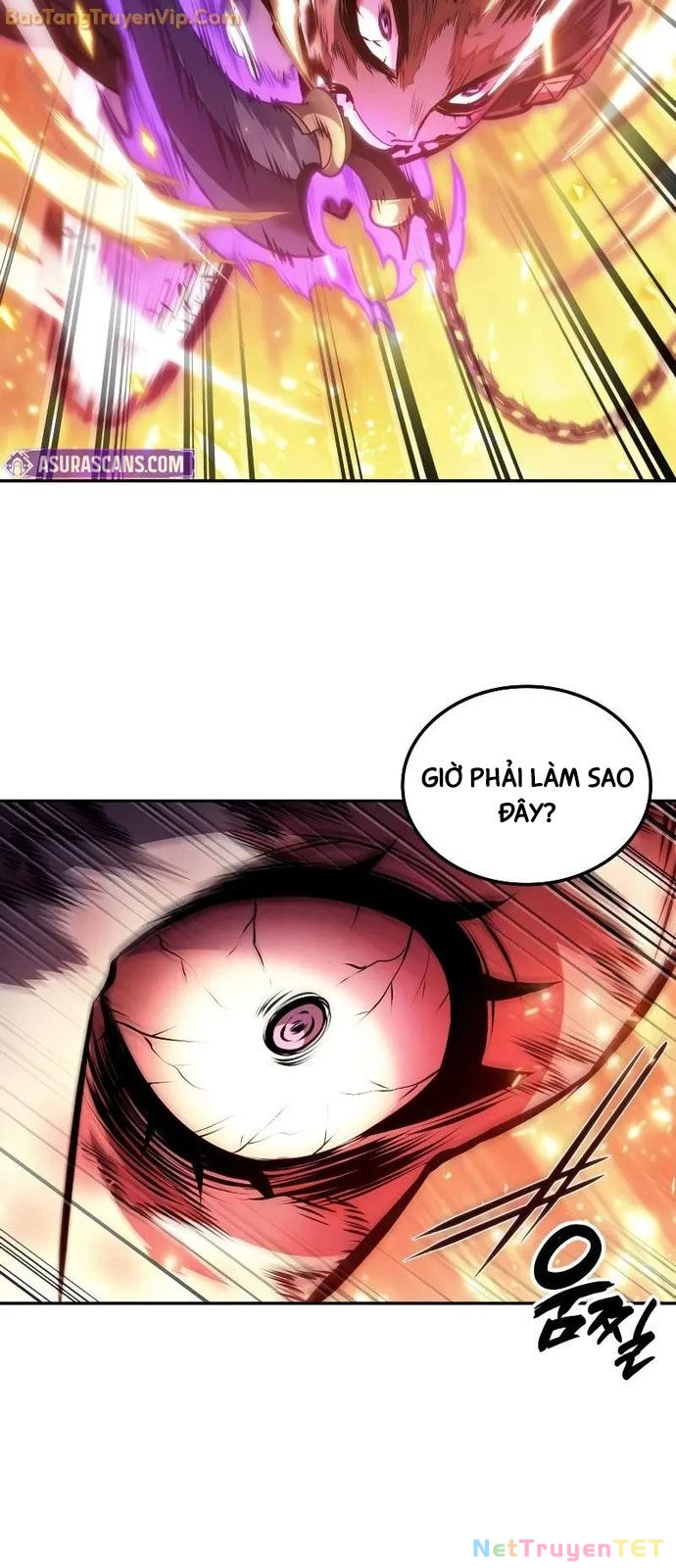 Mạo Hiểm Giả Cuối Cùng Chapter 52 - Trang 2